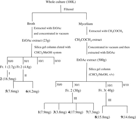 scheme 1