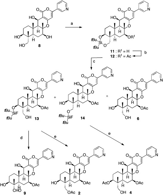 scheme 1