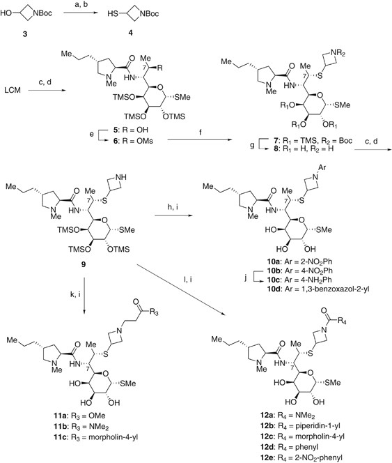 scheme 1