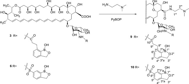 scheme 3