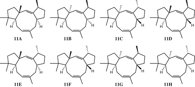 scheme 4