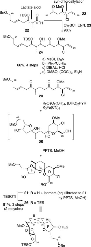 scheme 4