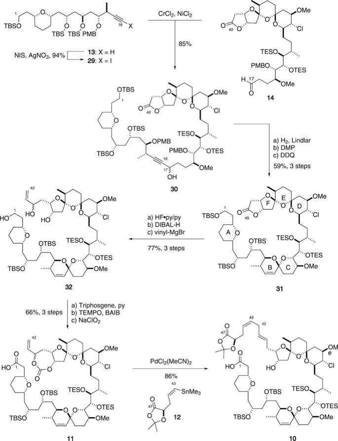 scheme 6