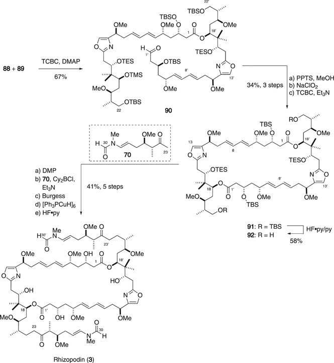 scheme 16