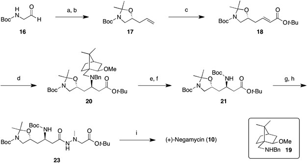 scheme 1