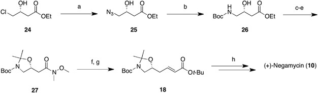 scheme 2