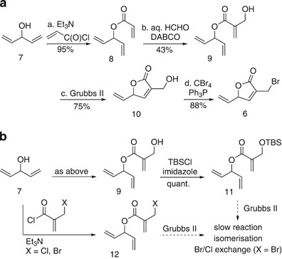 scheme 2