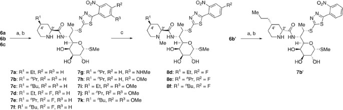 scheme 2