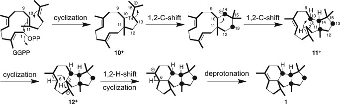 scheme 2