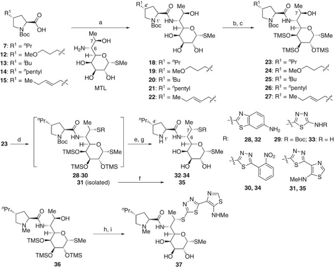 scheme 2