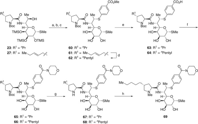 scheme 6