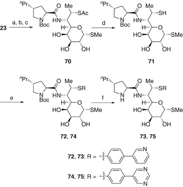 scheme 7