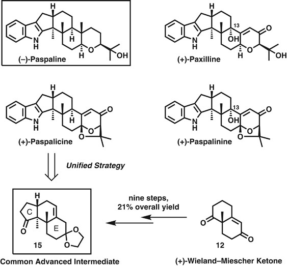 scheme 4