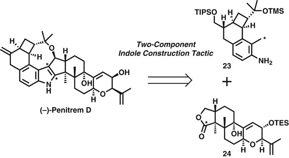 scheme 7