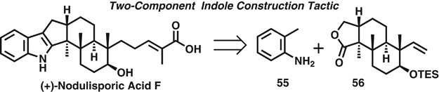 scheme 12