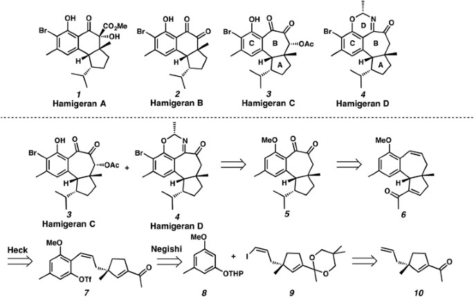 scheme 1