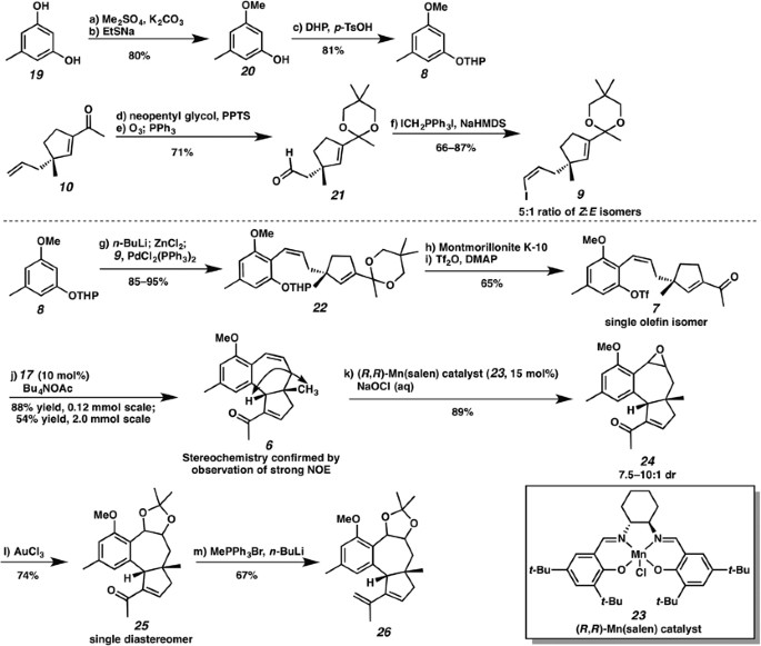 scheme 3