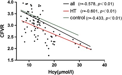 Coronary Flow Velocity Reserve Is Impaired In Hypertensive Patients With Hyperhomocysteinemia Journal Of Human Hypertension