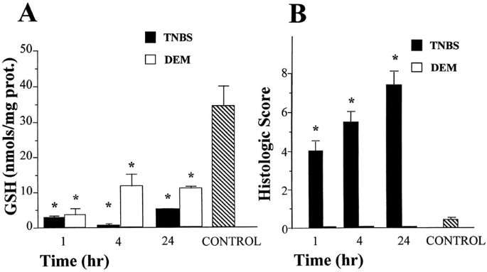 Replenishment of Glutathione Levels Improves Mucosal Function in  Experimental Acute Colitis | Laboratory Investigation