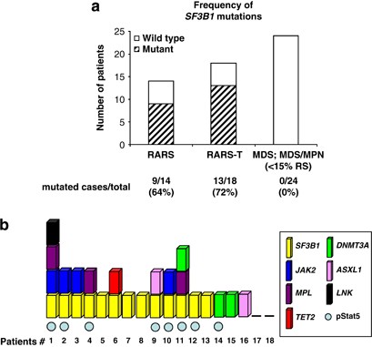 Sf3b1 A Splicing Factor Is Frequently Mutated In Refractory Anemia With Ring Sideroblasts Leukemia