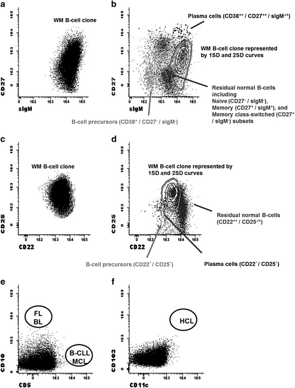 leven zoet bouwer Multiparameter flow cytometry for the identification of the Waldenström's  clone in IgM-MGUS and Waldenström's Macroglobulinemia: new criteria for  differential diagnosis and risk stratification | Leukemia