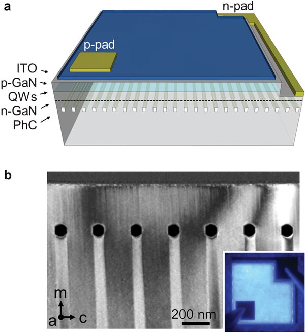 High-brightness polarized light-emitting diodes | Light: Science &  Applications