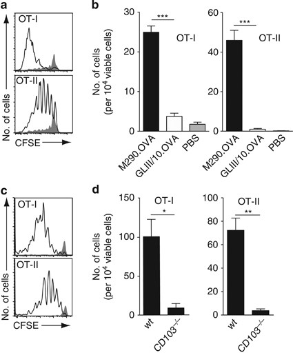 Directed antigen targeting in vivo identifies a role for CD103+ dendritic  cells in both tolerogenic and immunogenic T-cell responses | Mucosal  Immunology