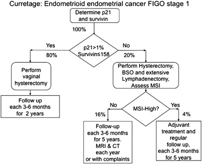 Biomarkers and microsatellite instability analysis of curettings can  predict the behavior of FIGO stage I endometrial endometrioid  adenocarcinoma | Modern Pathology