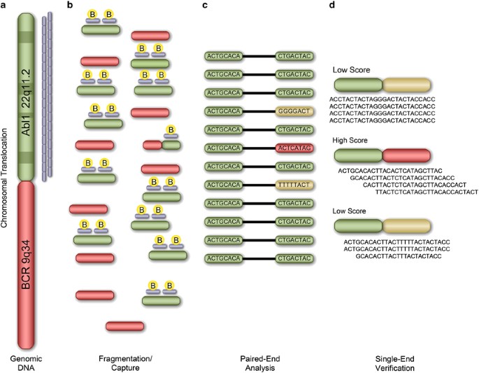 Targeted next generation sequencing of clinically significant gene  mutations and translocations in leukemia | Modern Pathology
