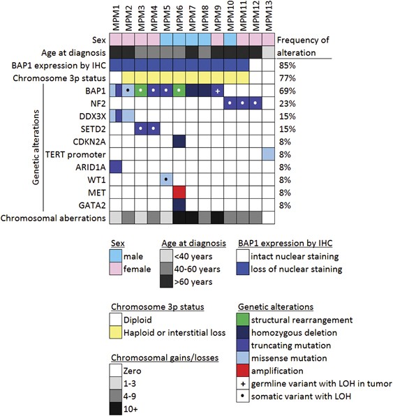 Genomic Profiling Of Malignant Peritoneal Mesothelioma Reveals Recurrent Alterations In Epigenetic Regulatory Genes Bap1 Setd2 And Ddx3x Modern Pathology