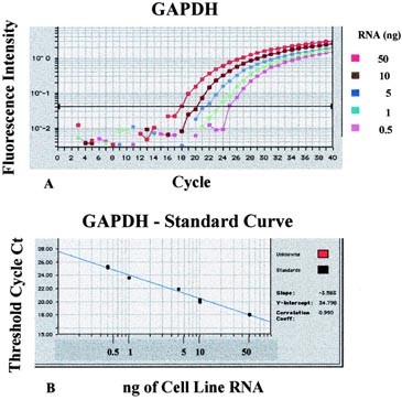 Real Time Rt Pcr Assay For Quantifying Cyclin D1 Mrna In B Cell Non Hodgkin S Lymphomas Modern Pathology