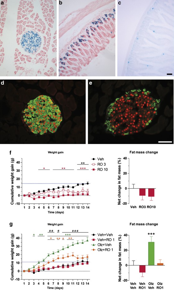 A New Perspective For Schizophrenia Taar1 Agonists Reveal