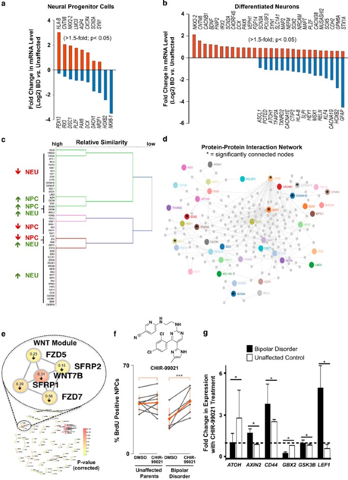Characterization Of Bipolar Disorder Patient-specific Induced Pluripotent Stem Cells From A Family Reveals Neurodevelopmental And MRNA Expression Abnormalities | Molecular Psychiatry Characterization Of Bipolar Disorder Patient-specific Induced Pluripotent Stem Cells From A Family Reveals Neurodevelopmental And MRNA Expression Abnormalities | Molecular Psychiatry