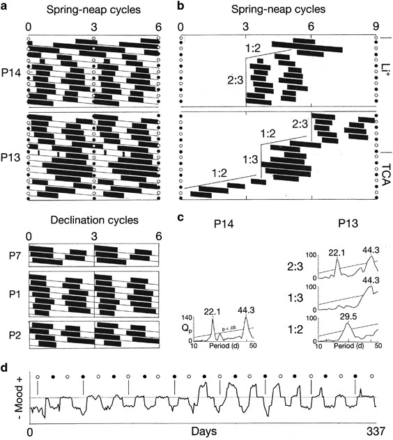 Bipolar Mood Cycles And Lunar Tidal Cycles Molecular