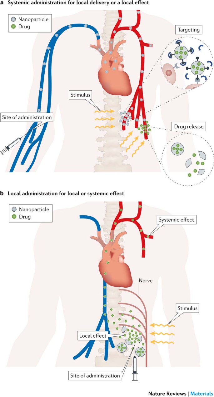 External Triggering And Triggered Targeting Strategies For Drug Delivery Nature Reviews Materials External Triggering And Triggered Targeting Strategies For Drug Delivery Nature Reviews Materials