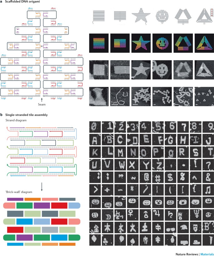 dna nanotechnology nature reviews