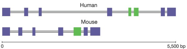 figure 26