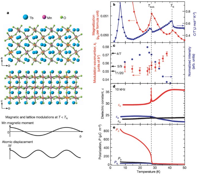 Magnetic Control Of Ferroelectric Polarization Nature