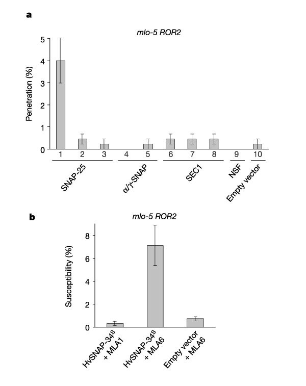 Snare Protein Mediated Disease Resistance At The Plant Cell Wall Nature