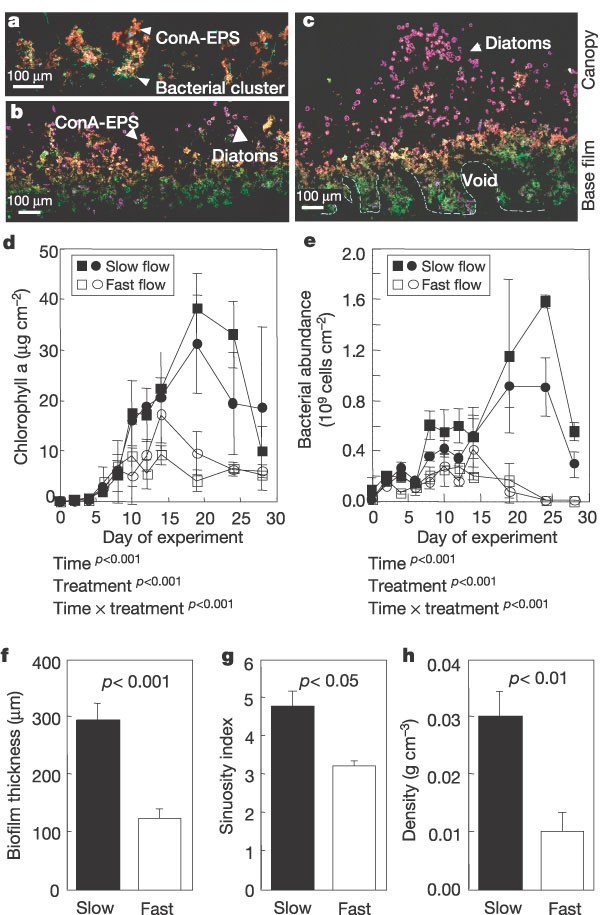 Contributions of microbial biofilms to ecosystem processes in stream  mesocosms | Nature