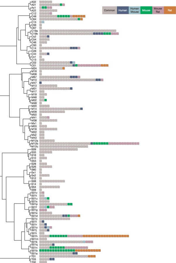 figure 15