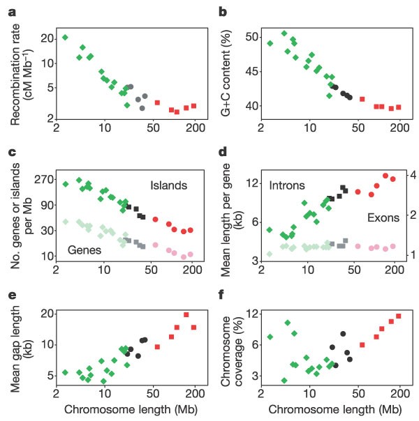 Figure 10: Relationships between chromosome sequence length and characteristics for chromosomes 1–28.