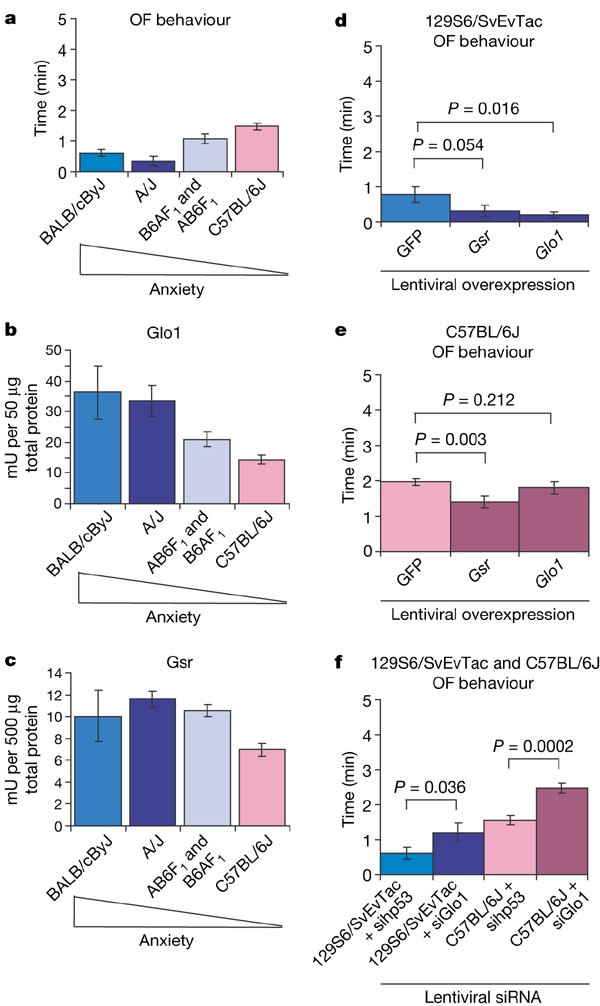 Glyoxalase 1 and glutathione reductase 1 regulate anxiety in mice
