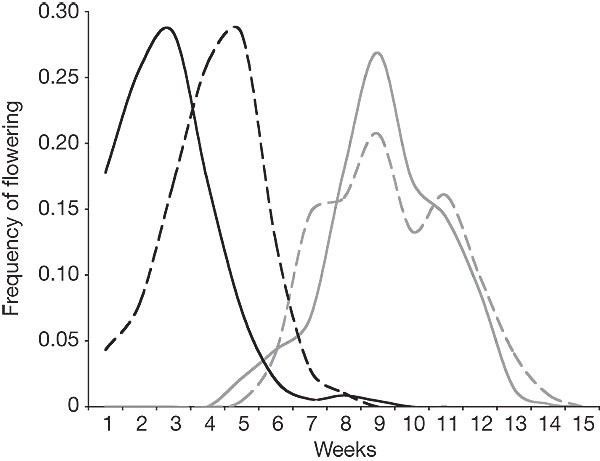 Sympatric Speciation In Palms On An Oceanic Island Nature