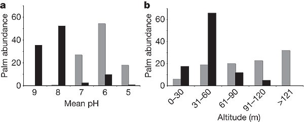 Sympatric Speciation In Palms On An Oceanic Island Nature