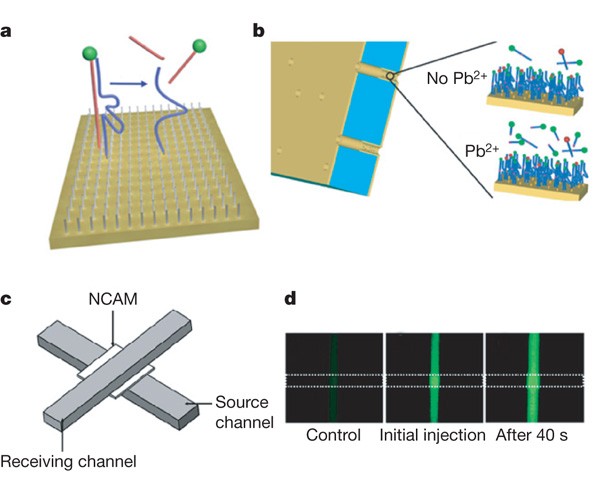 Science And Technology For Water Purification In The Coming Decades Nature