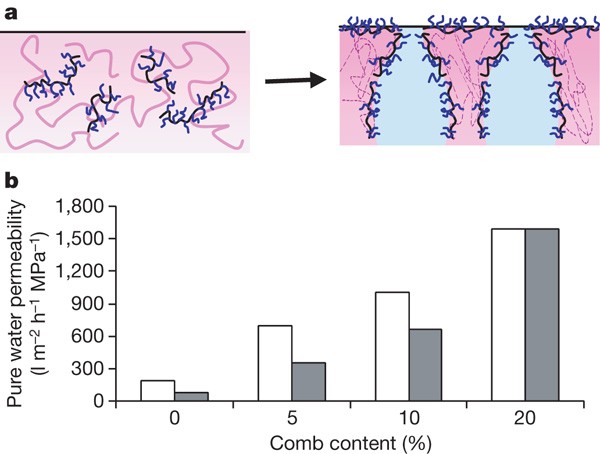 Science And Technology For Water Purification In The Coming Decades Nature