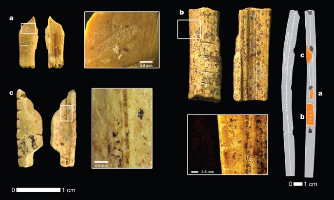 New flutes document the earliest musical tradition in southwestern Germany  | Nature