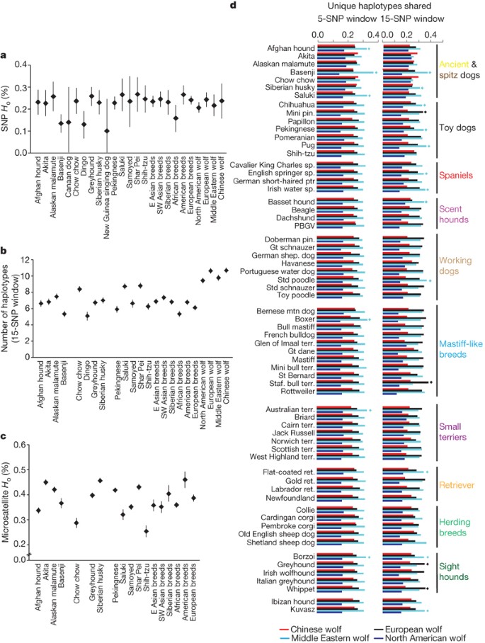 Genome-wide SNP and haplotype analyses reveal a rich history 