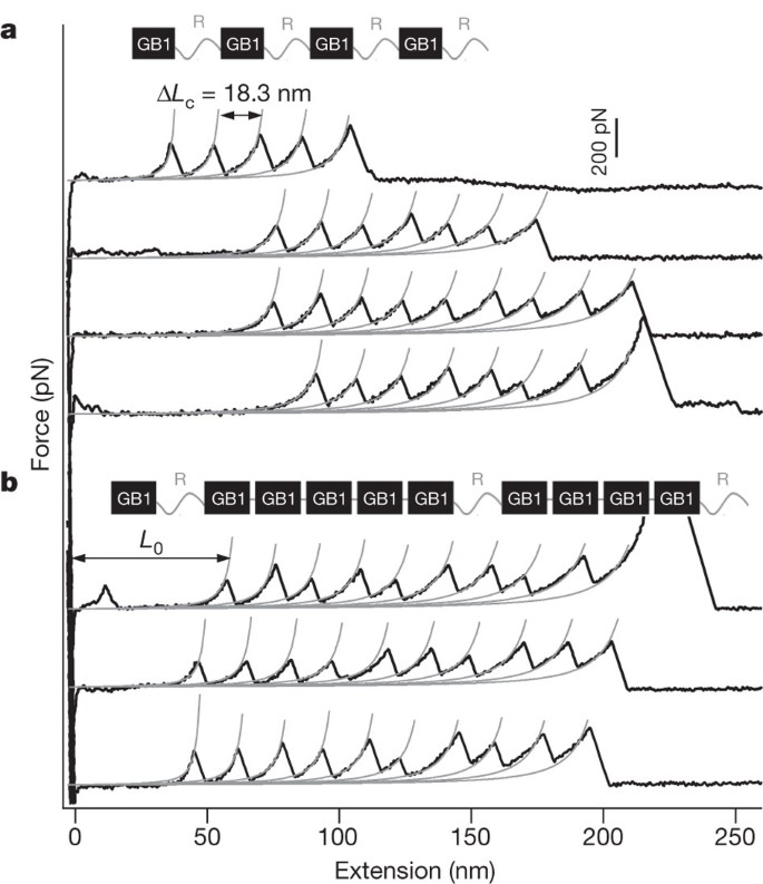 Designed Biomaterials To Mimic The Mechanical Properties Of